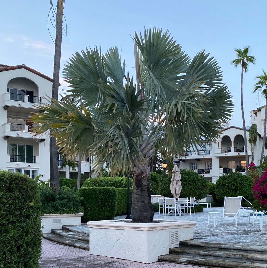 Resort bord de mer